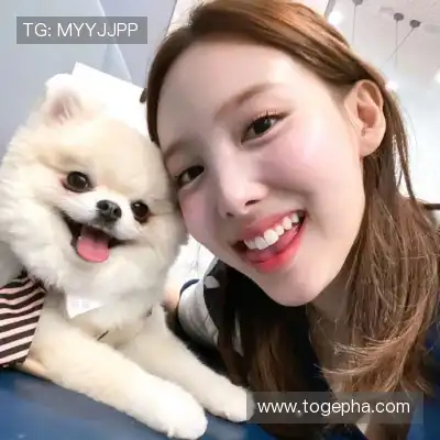 凤腾兴